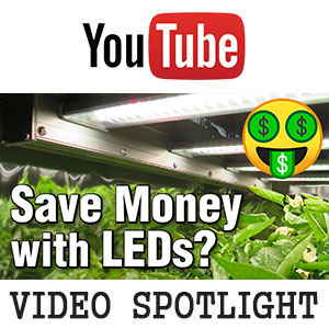 Electrical Savings- LED Payoff Cost Calculator -High Efficiency Upgrades for Home & Grow Lights -YouTube